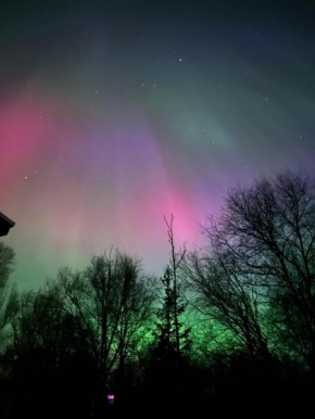 The Northern Lights Oasis